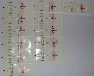 2011021102.jpg