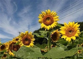 2011092906.jpg