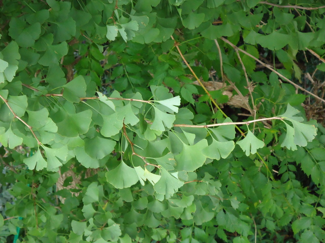 2011100511.jpg