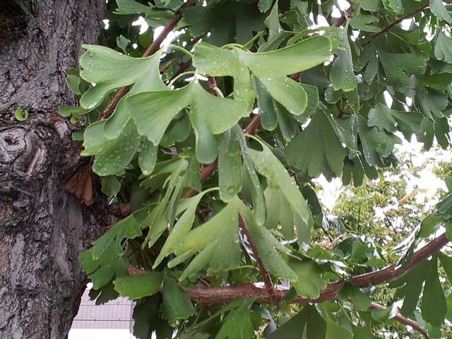 2011102311.jpg