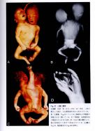 2013052207.jpg