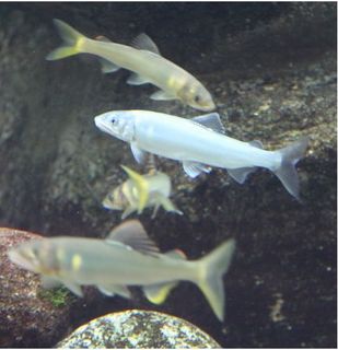 2013062210.jpg