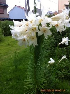 2013062211.jpg