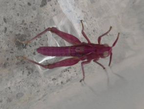 2013062214.jpg