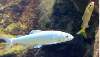 2013062216.jpg