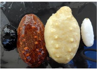 2013062217.jpg
