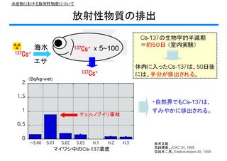 2013070307.jpg
