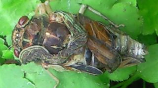 2013071302.jpg