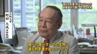 2013080805.jpg