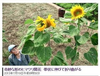 2013081002.jpg