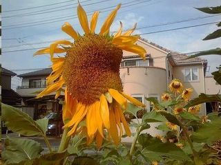 2013081004.jpg