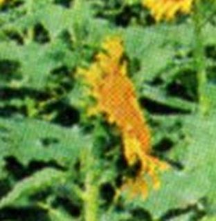 2013081005.jpg