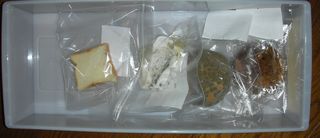 2013091208.jpg