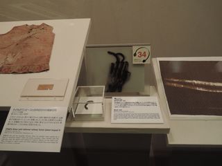 2014080541.jpg