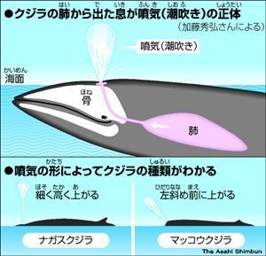 2015062501.jpg
